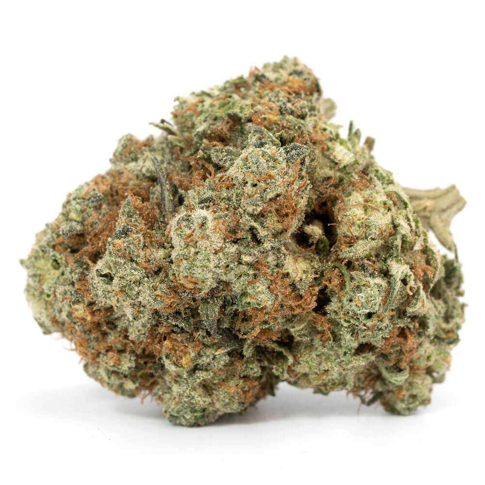 G13 Haze