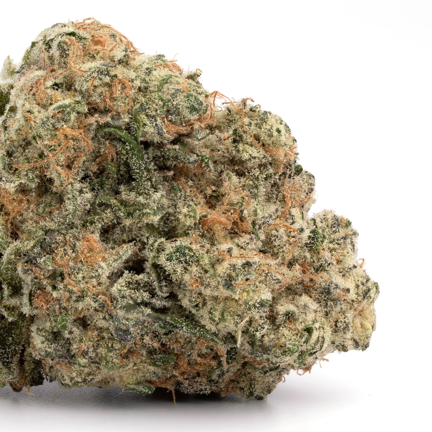 Bruce Banner