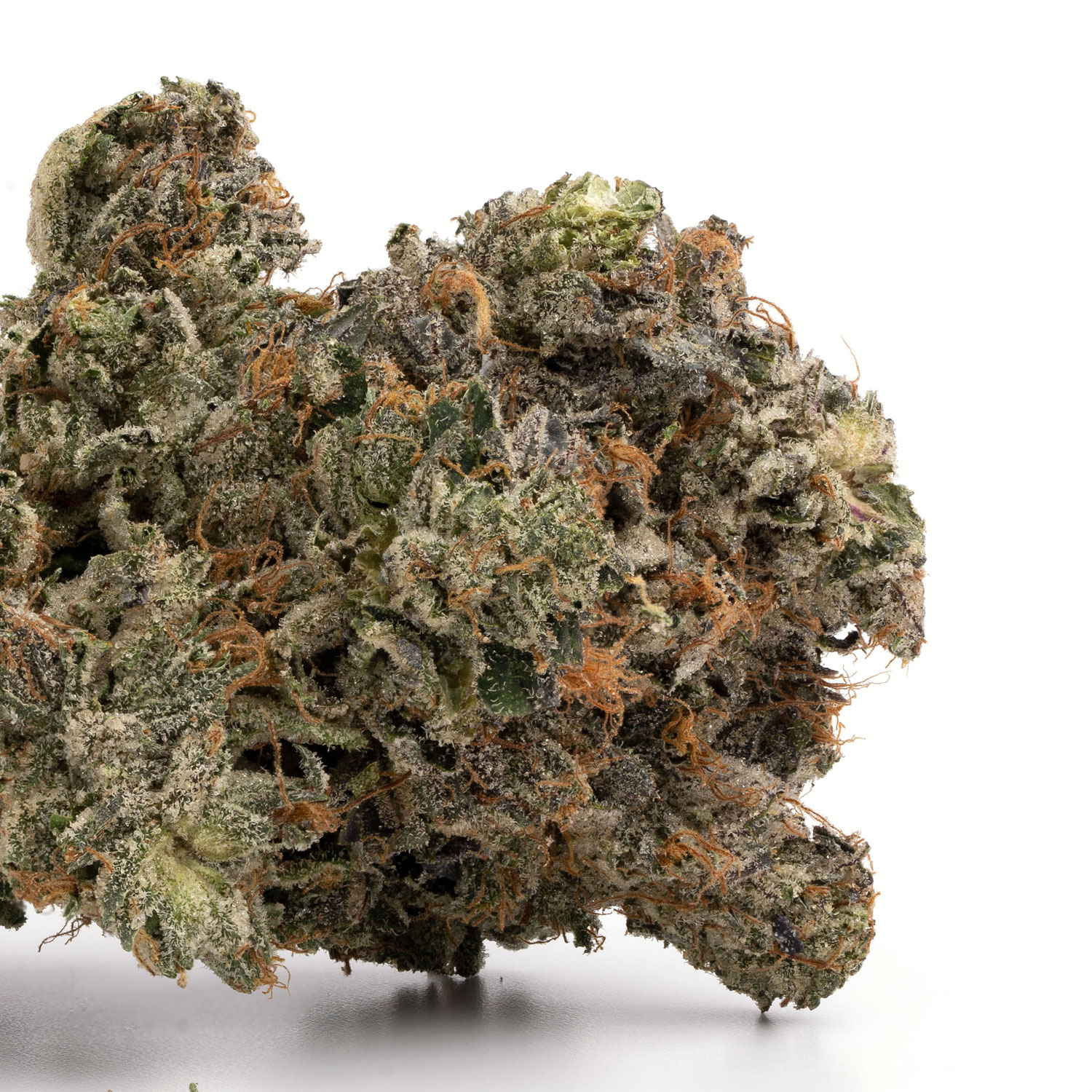 Chocolate Kush
