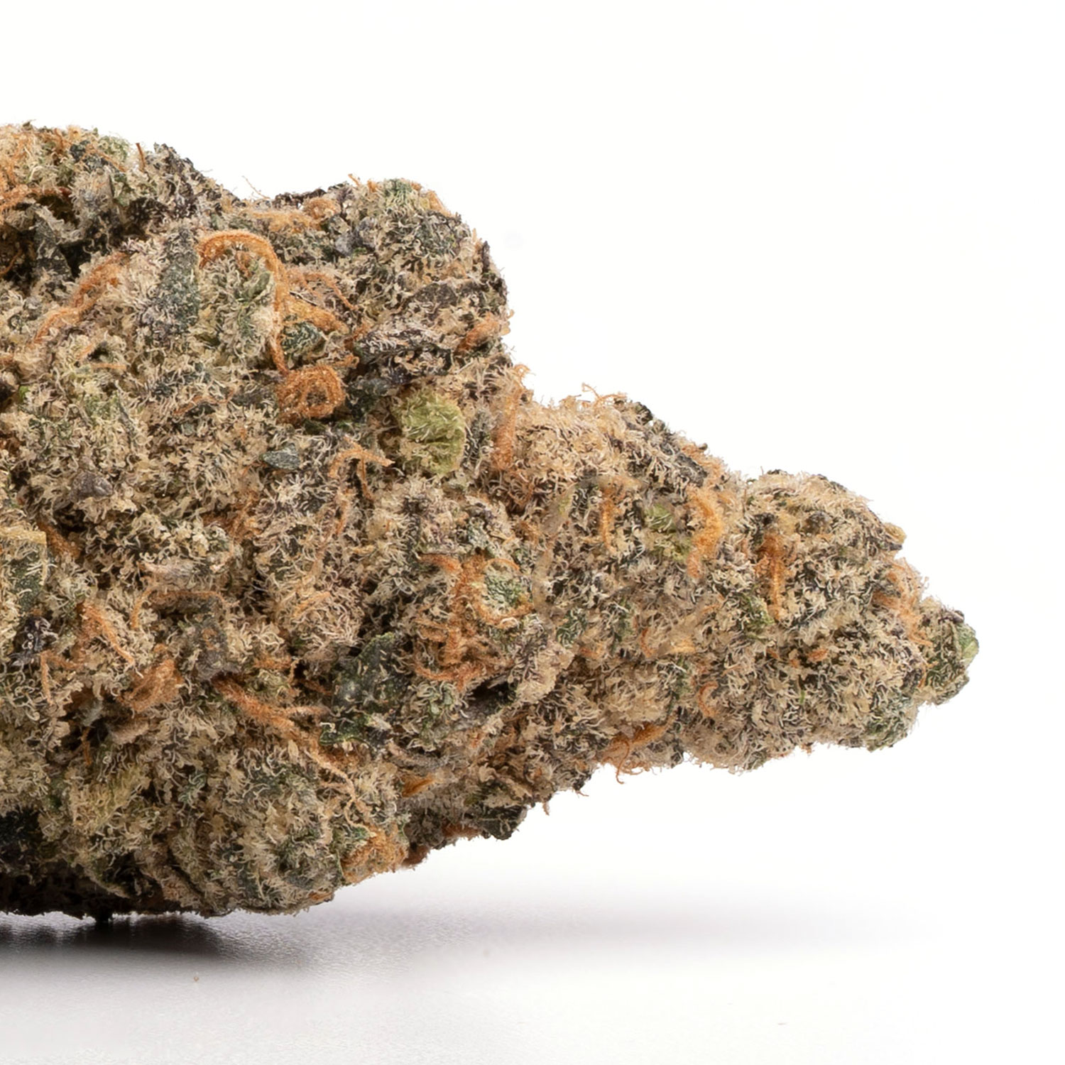 Citrus Skunk