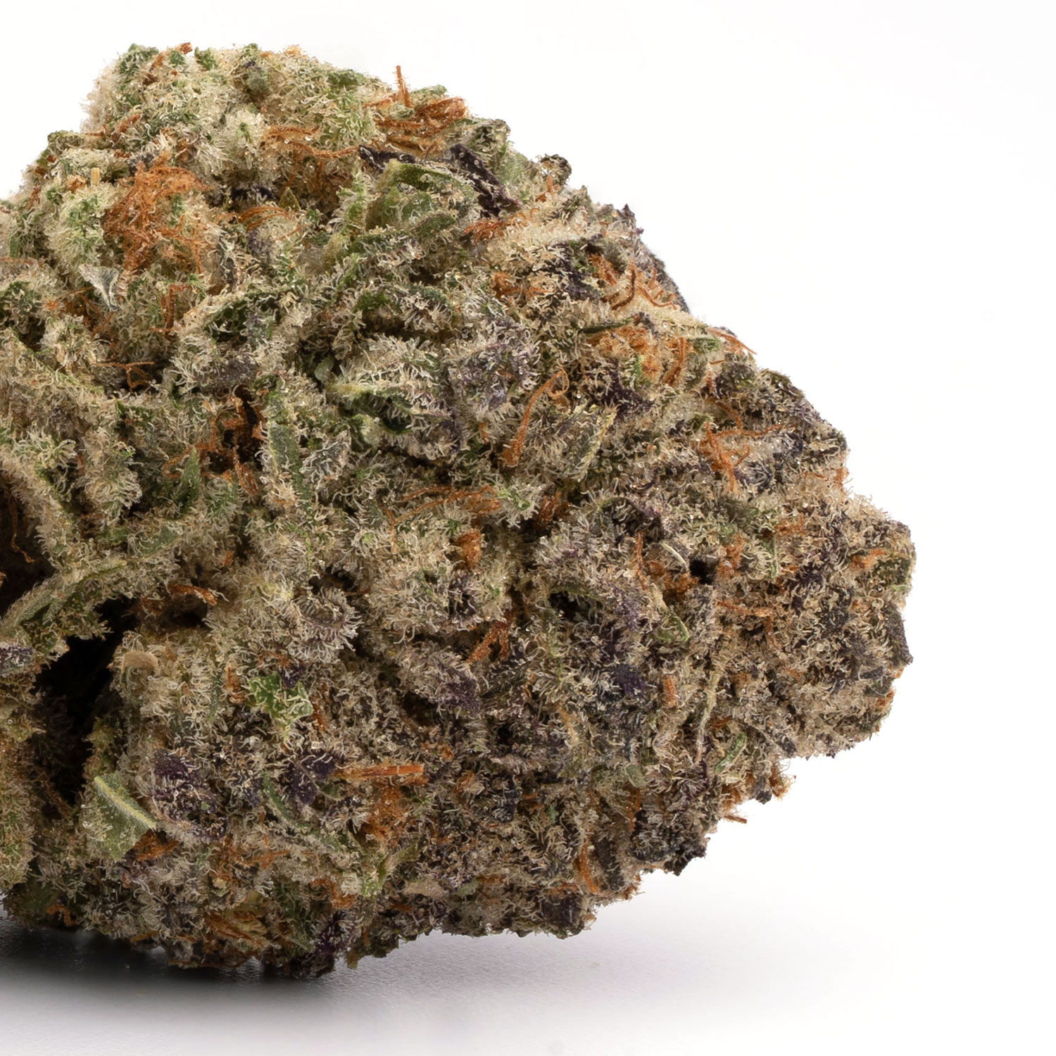 Critical Kush