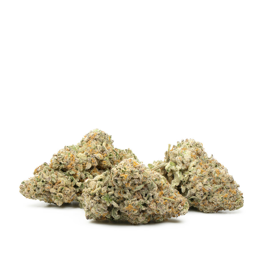 Discover the Forum Cut Girl Scout Cookies HerbandPot