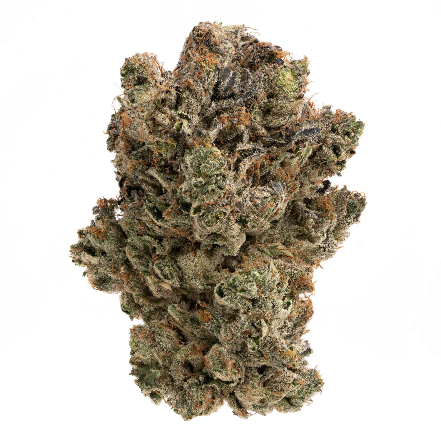Godzilla Glue