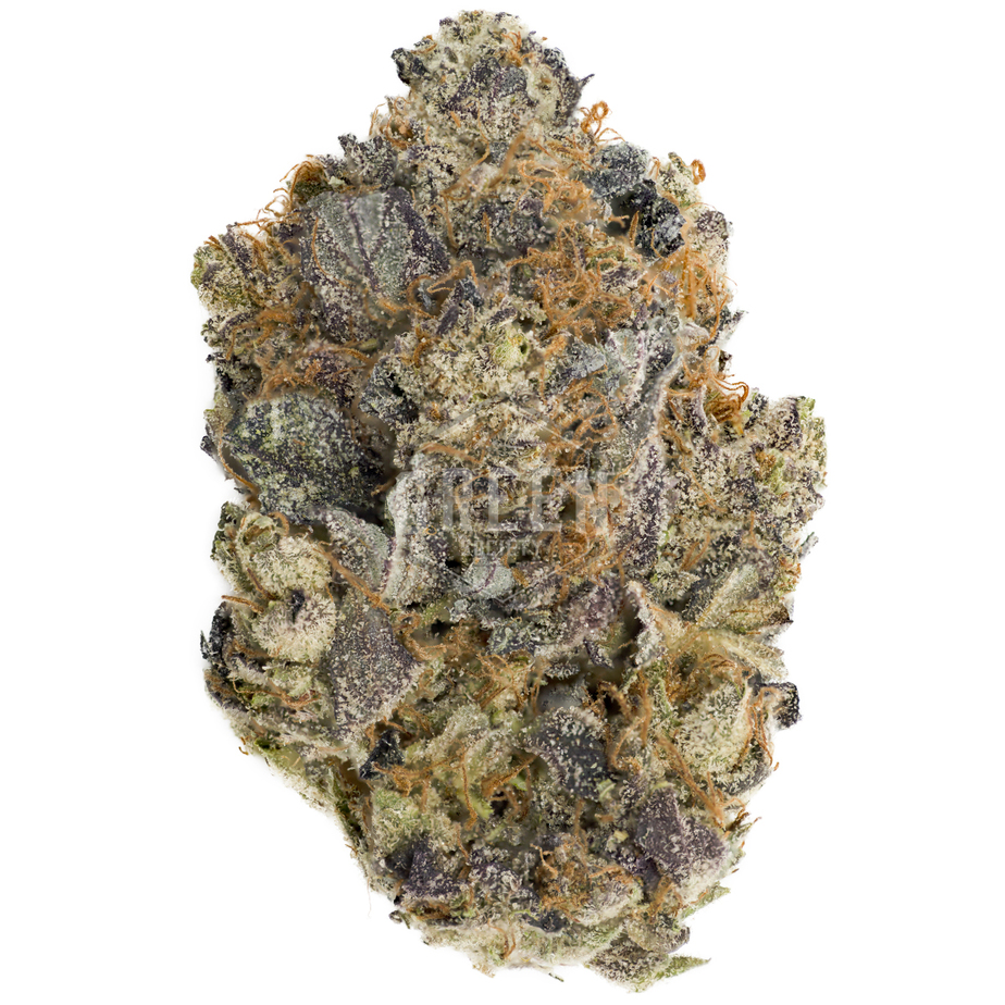 Gorilla Breath F2 by Humboldt Seeds