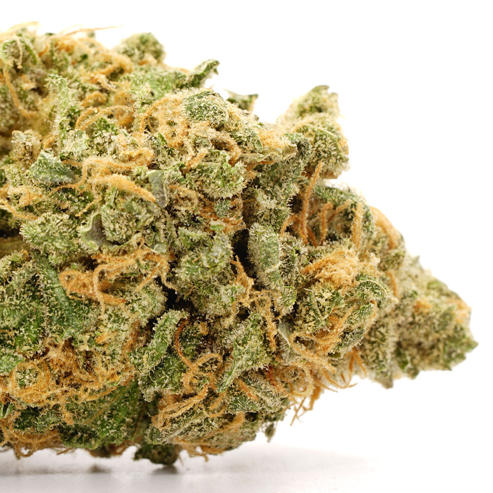 Hash Plant