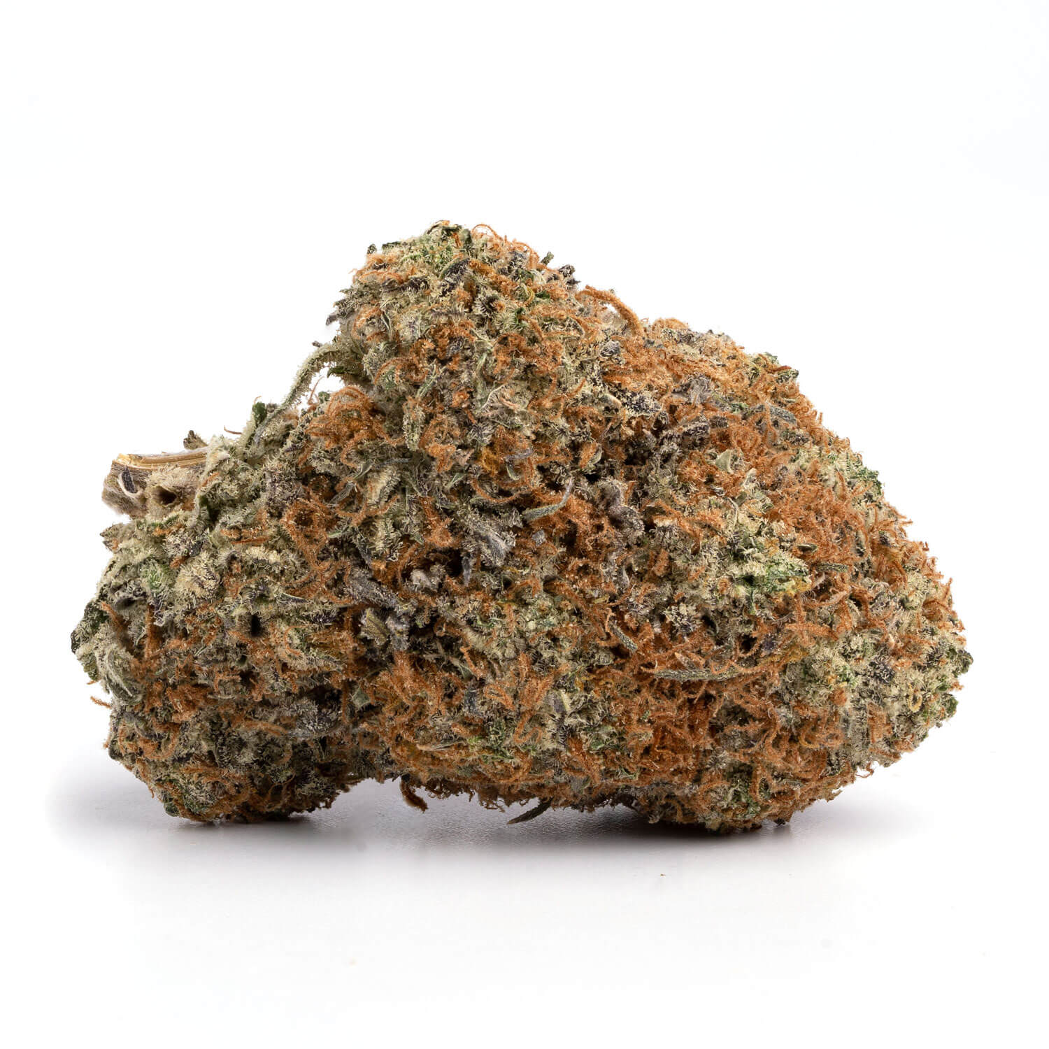 Hindu Kush