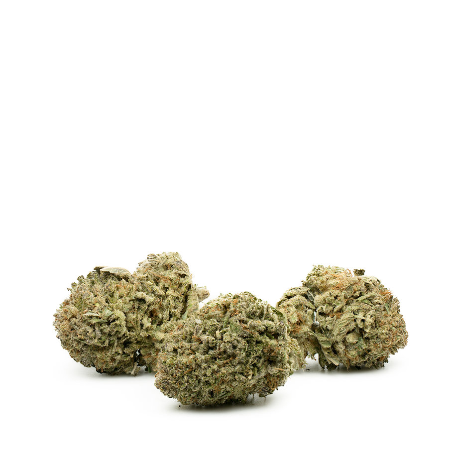 King Louis XIII