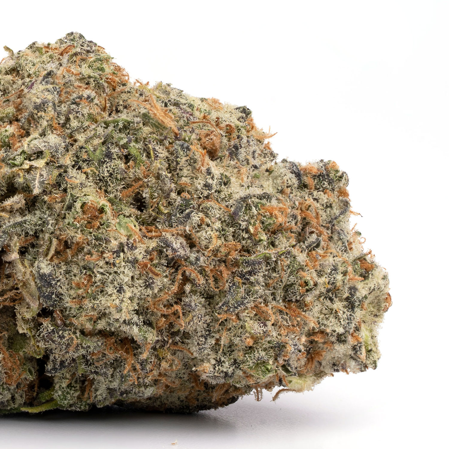 Master Kush