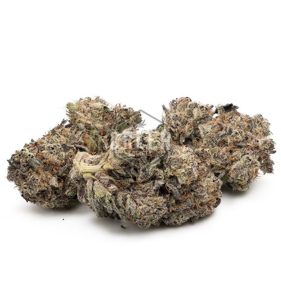 Medi Kush