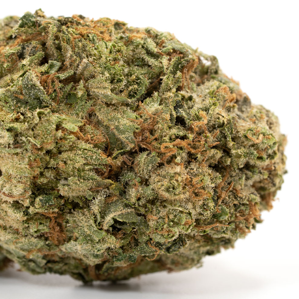 MK Ultra