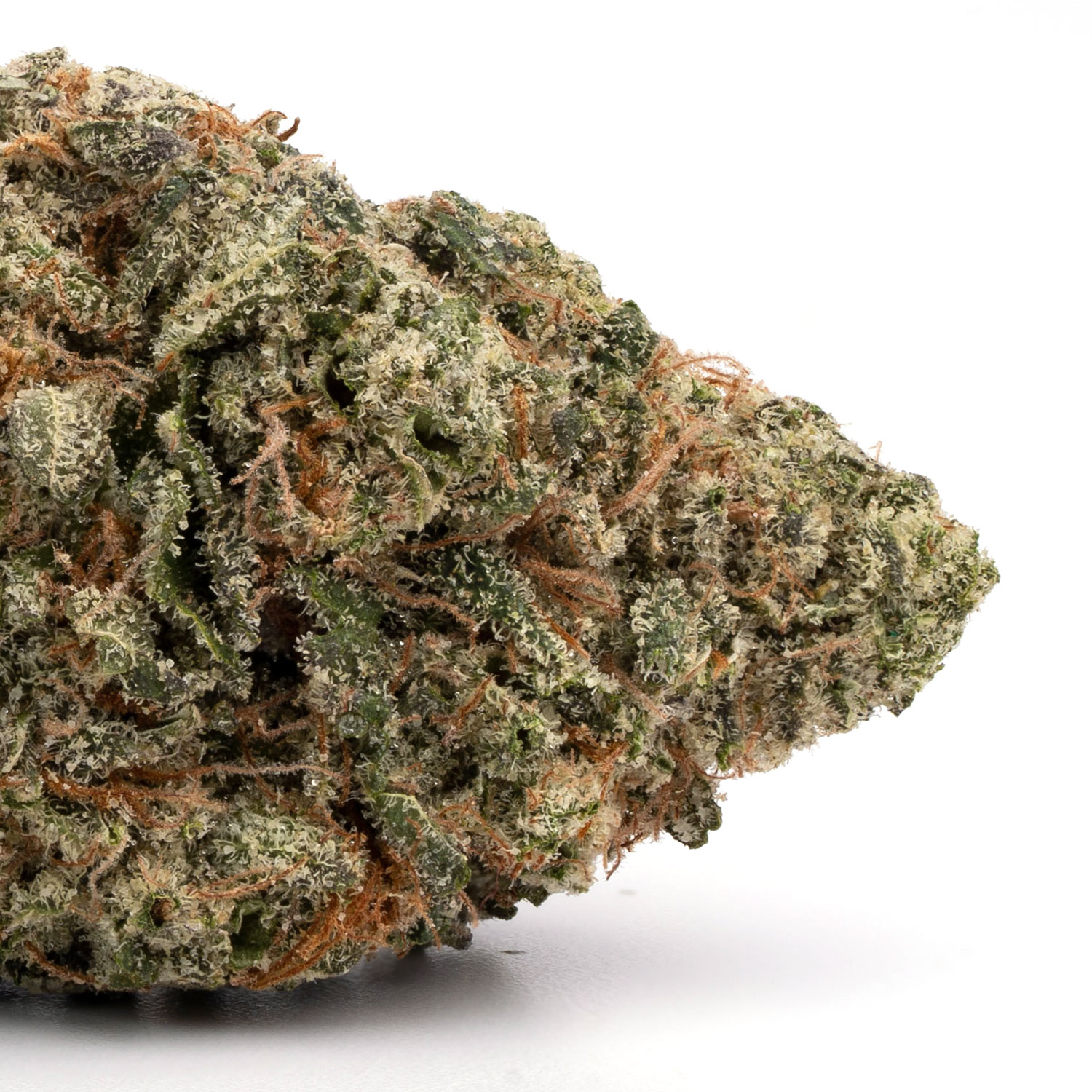 Orange Cookies