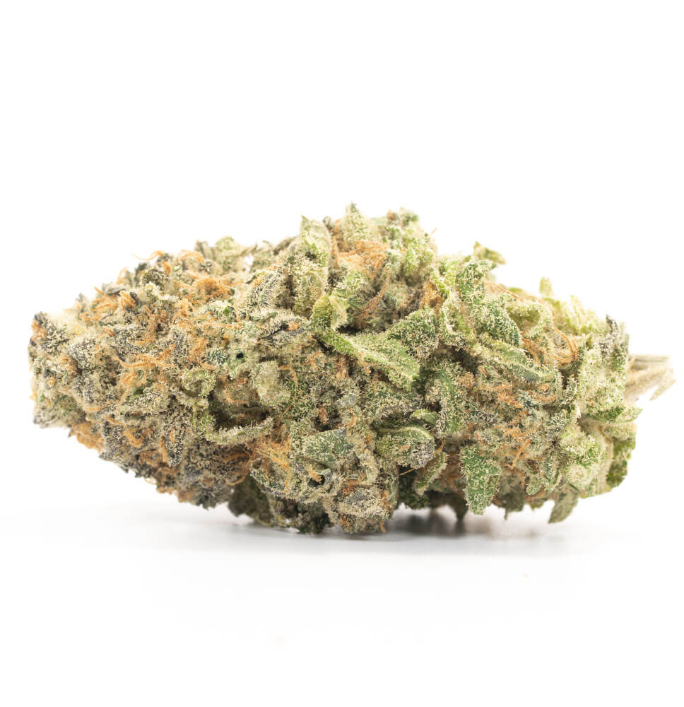 Orange Creamsicle