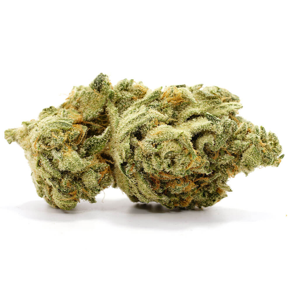 Original Glue