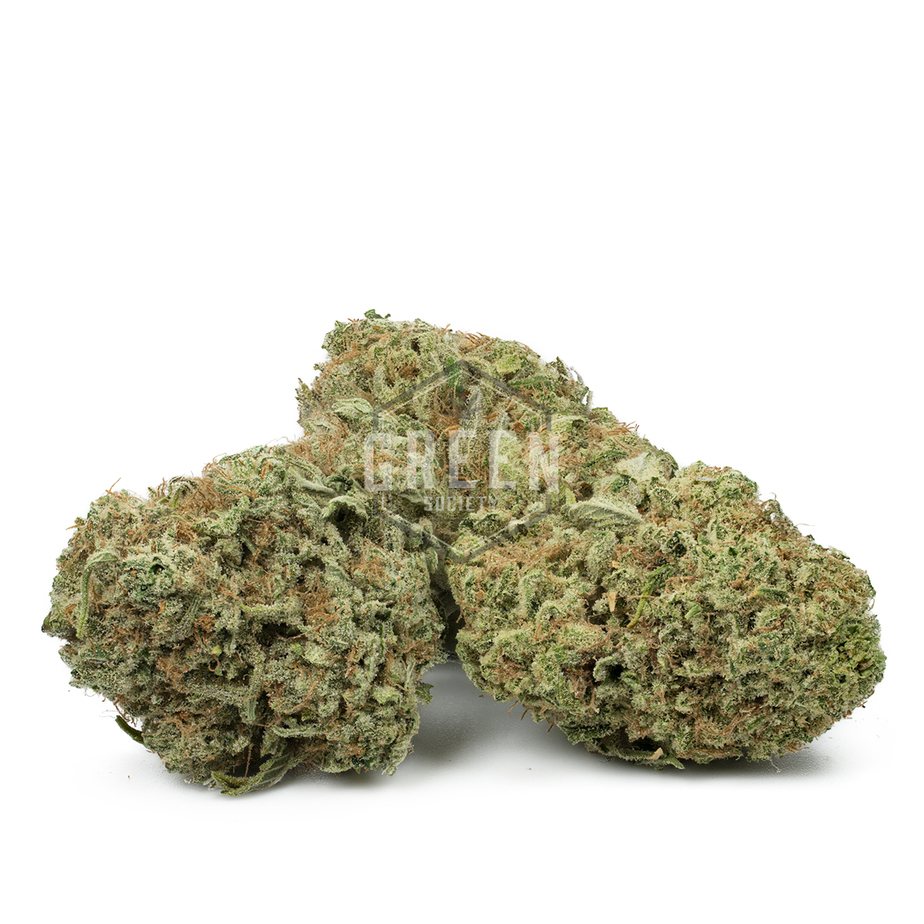 Papaya Punch #2 by Oni Seeds