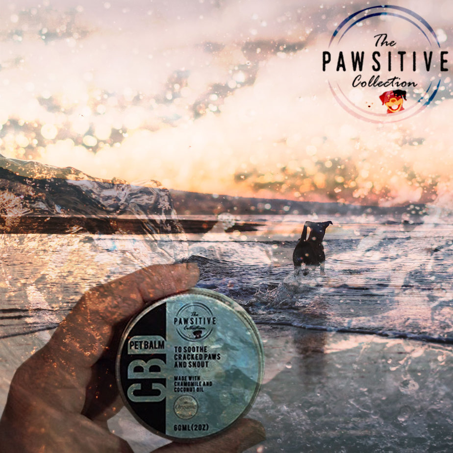 Pawsitive Collection CBD Balm