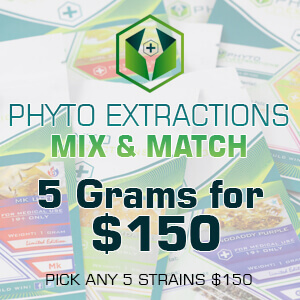 Phyto Extractions Shatter Mix and Match