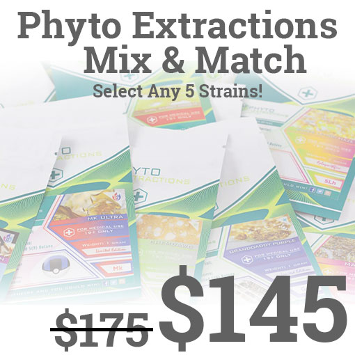 Phyto Shatter Mix and Match