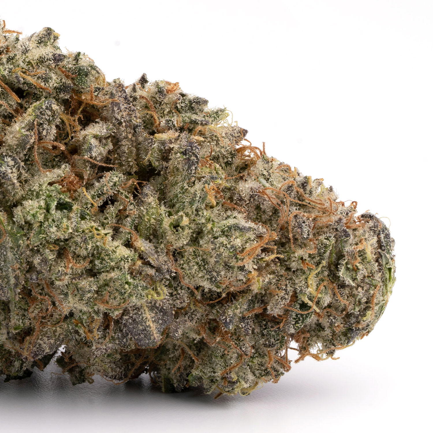 Pink Champagne