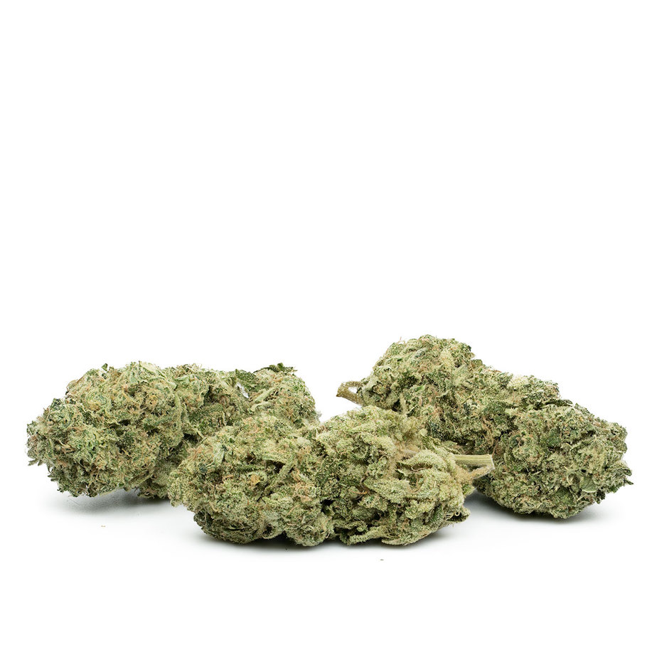 Pink Lemonade by Pluto Craft Cannabis