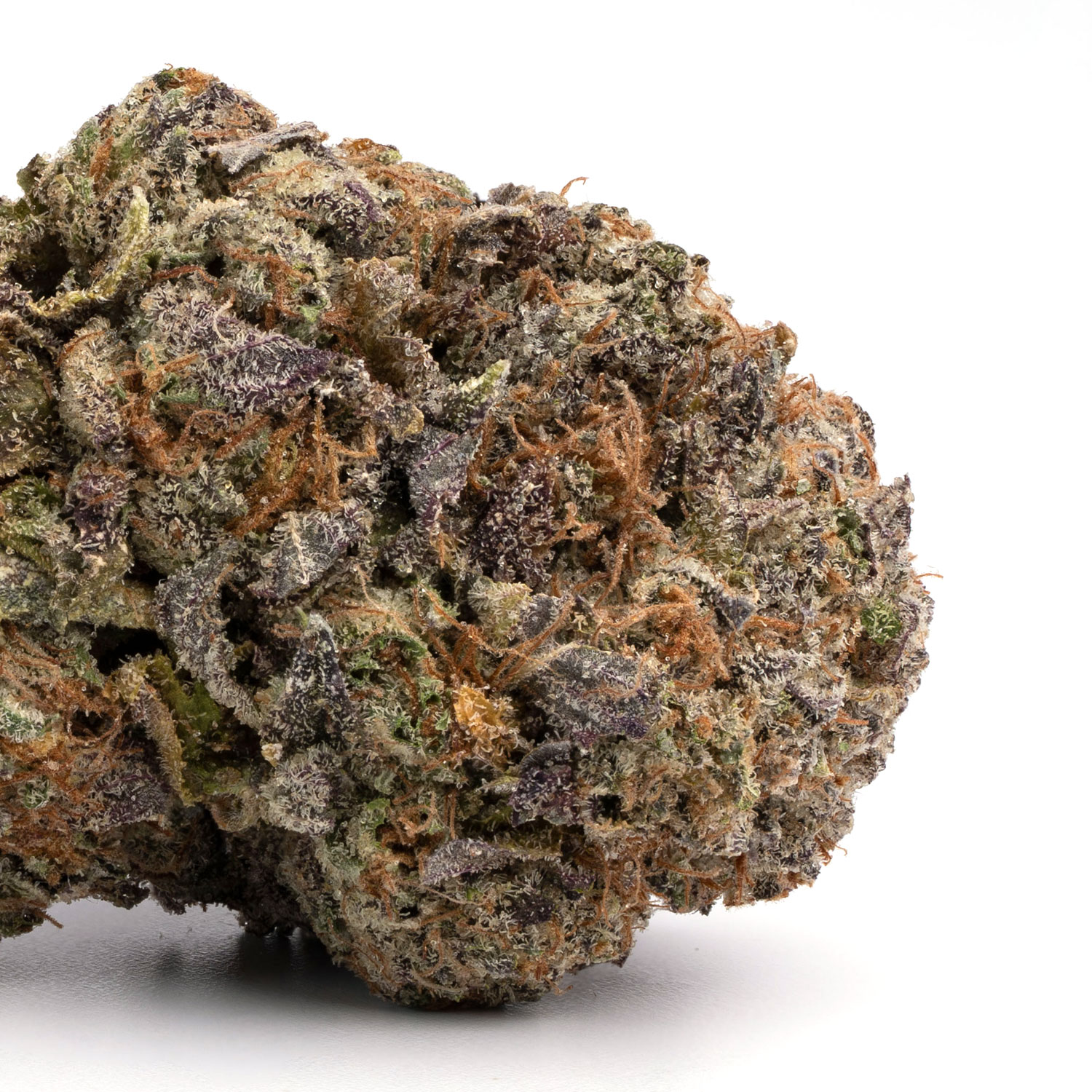 Pink Rockstar
