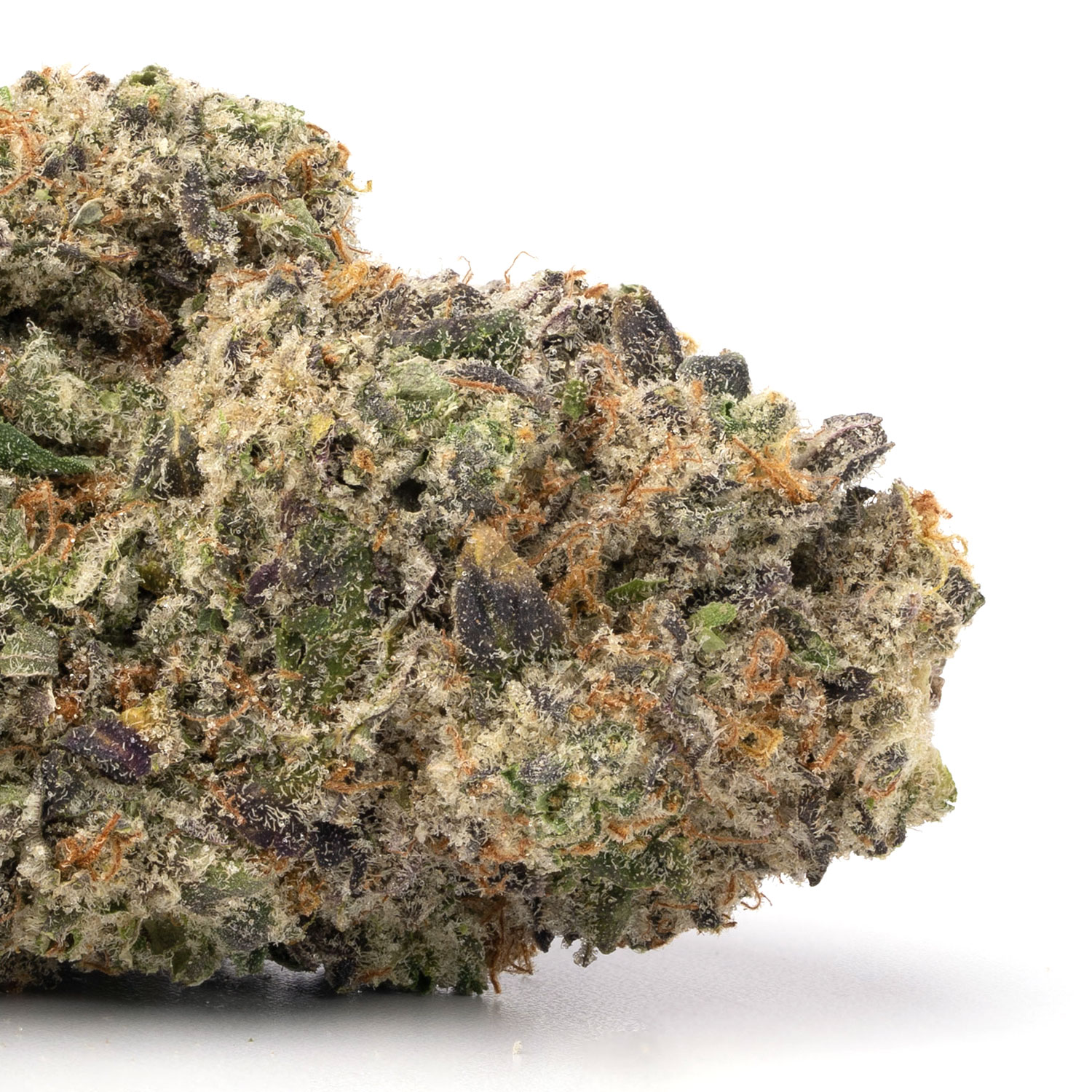 Purple Tangie