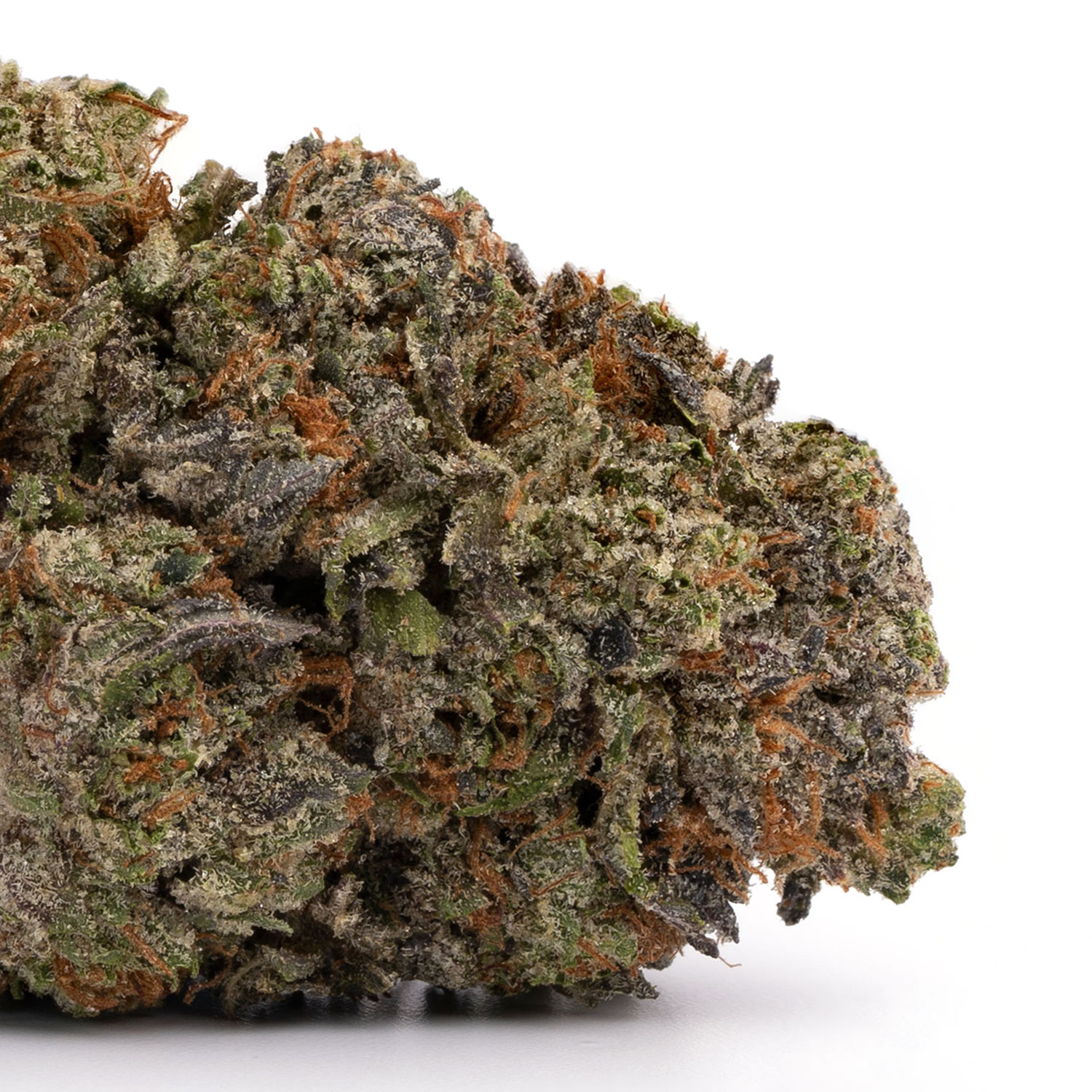 Purple Urkle