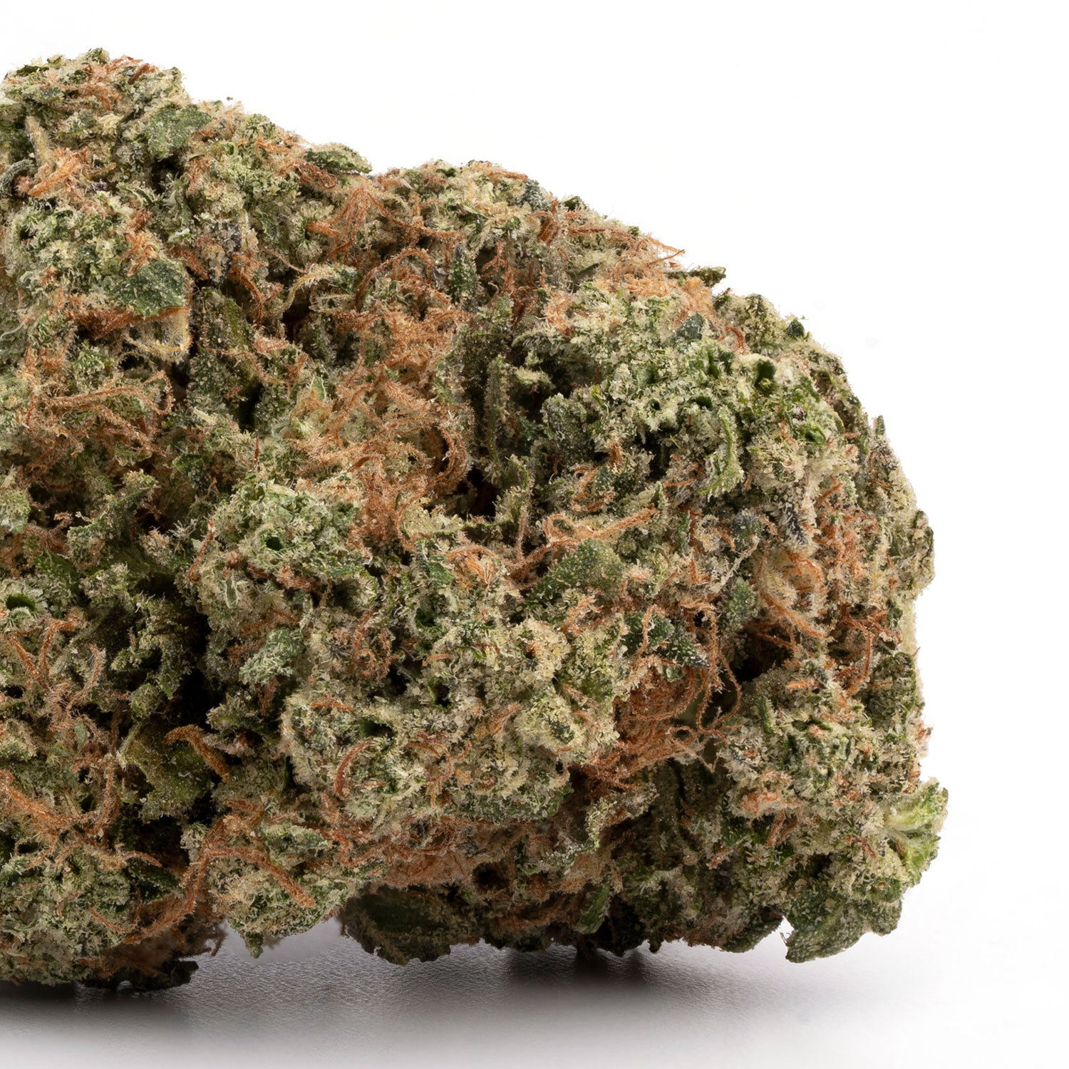 Sensi Star