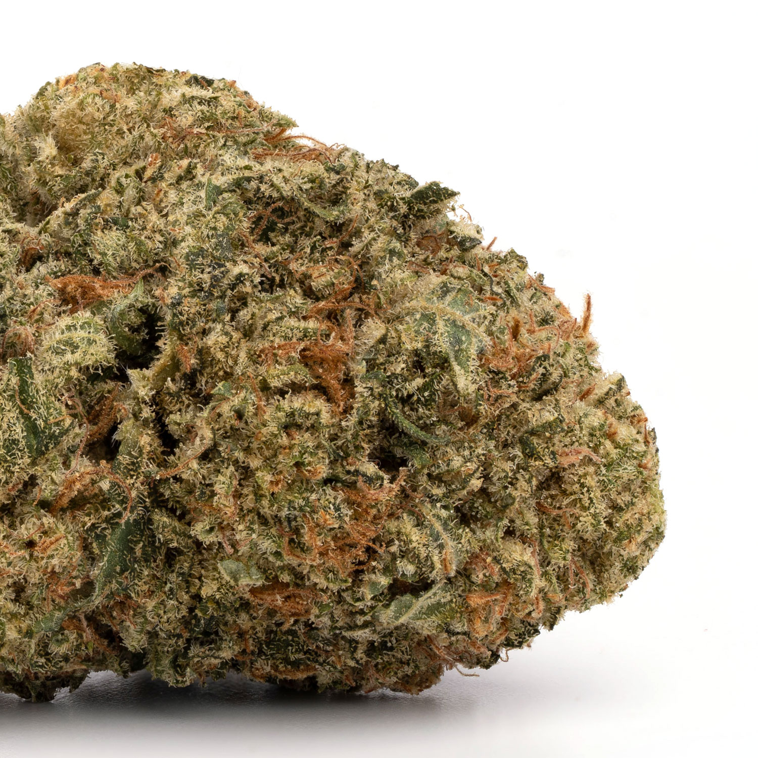 SFV OG