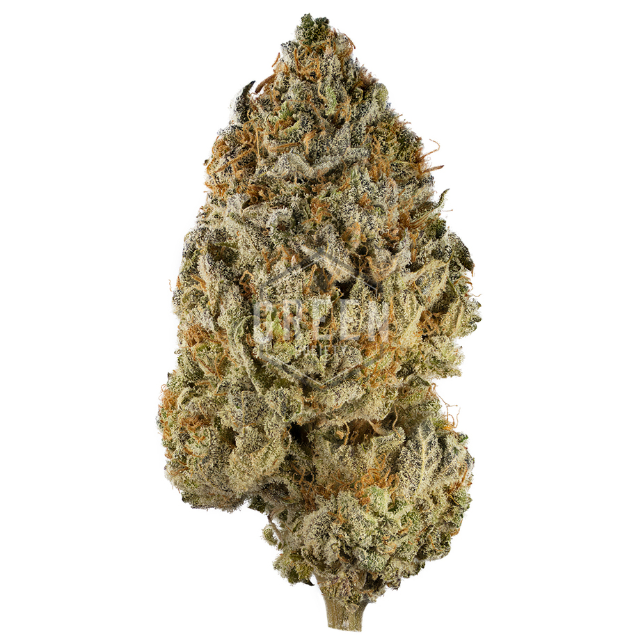 Sundae Driver by Tahoe Hydro