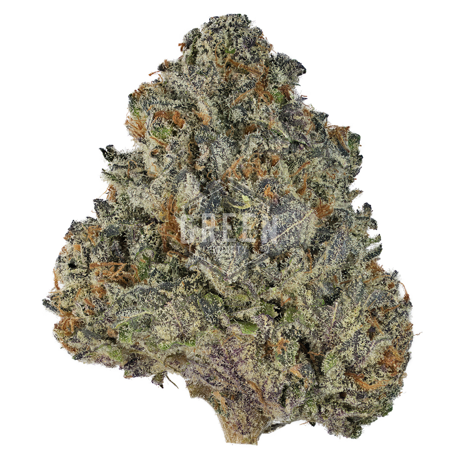 Tropicana Cookies by Oni Seeds