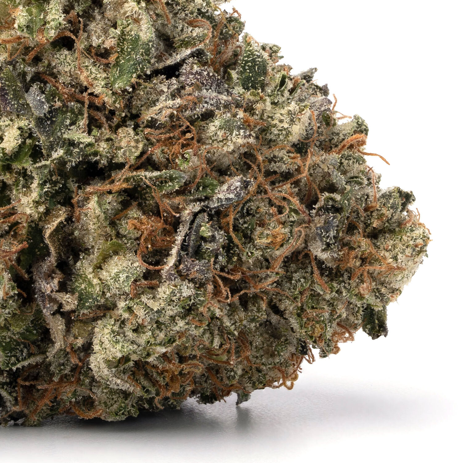 Tuna Kush