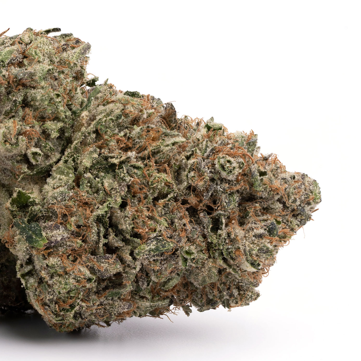 White Russian