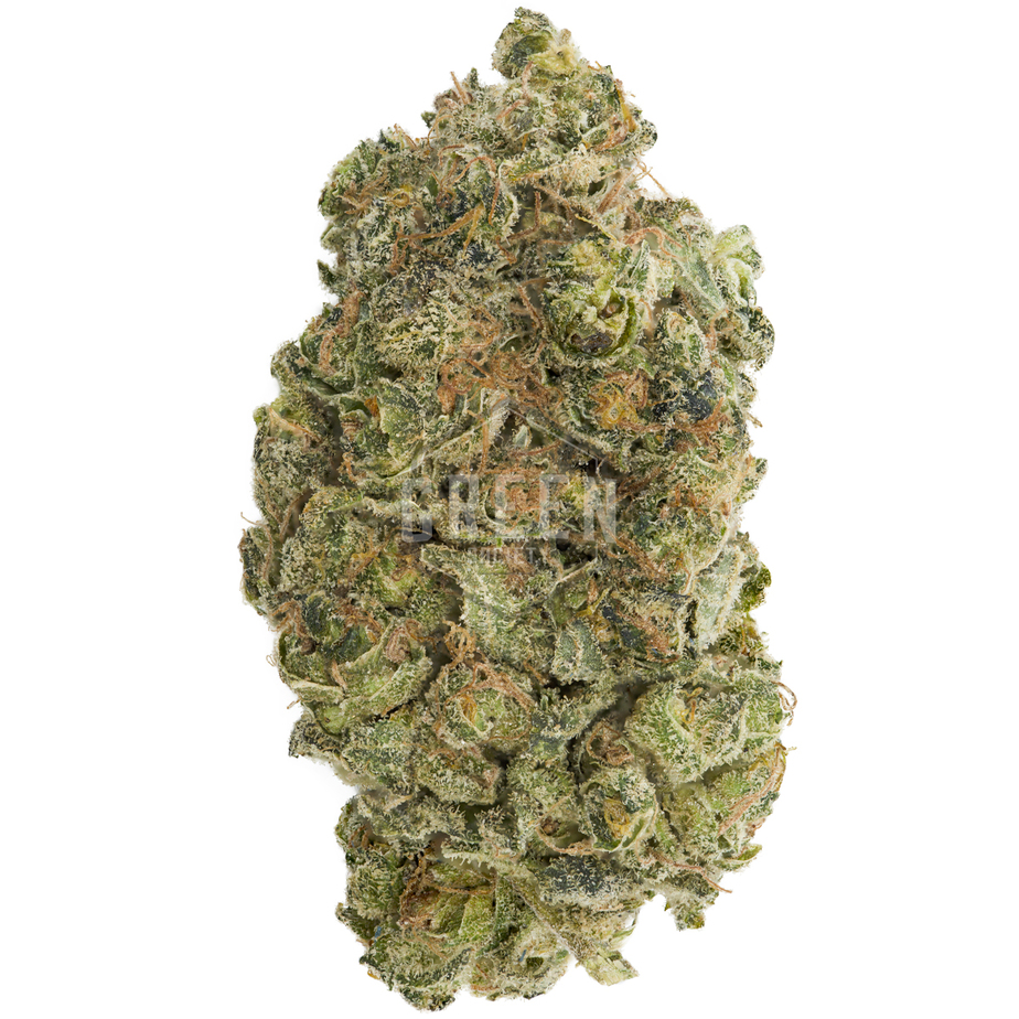 WiFi OG
