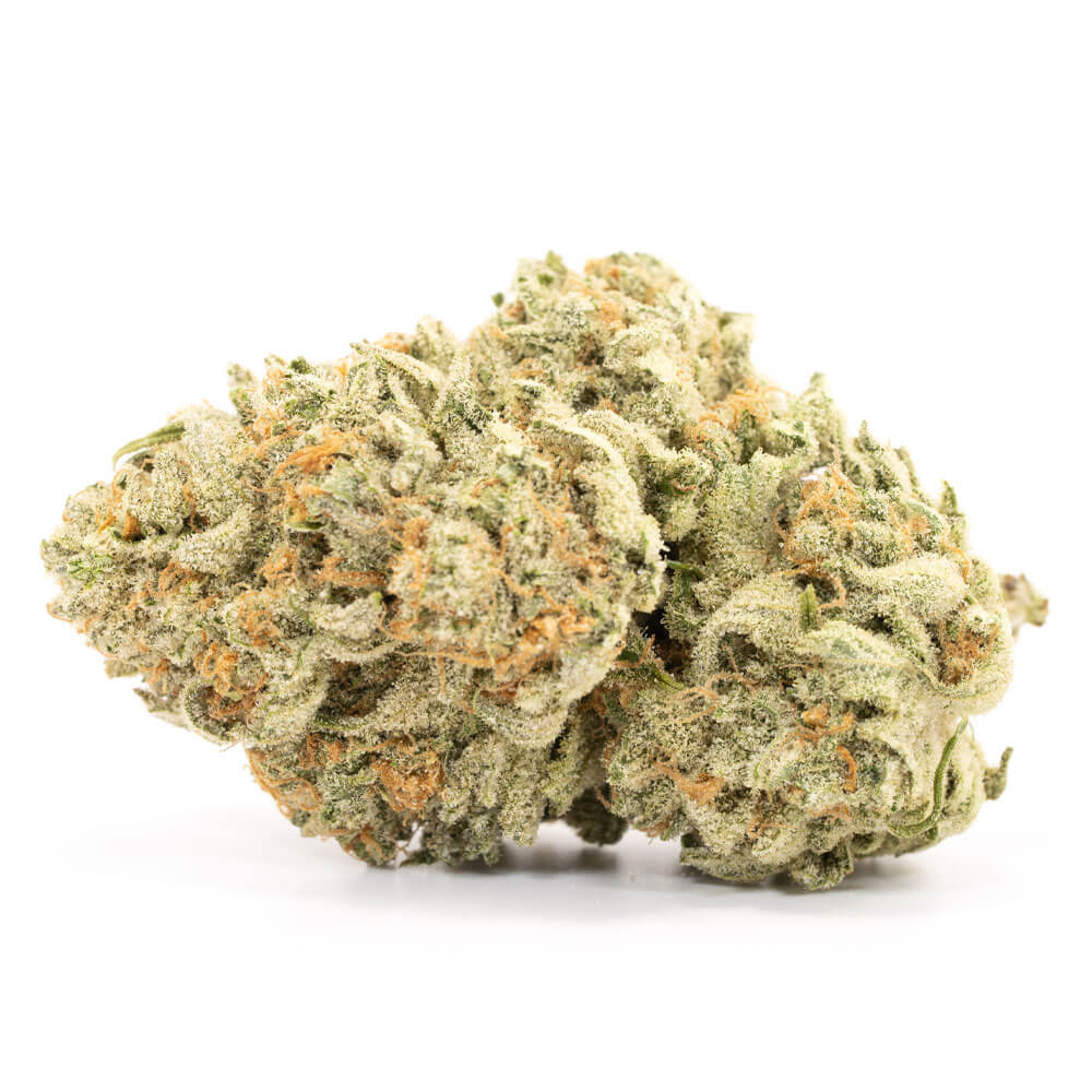 Zombie OG