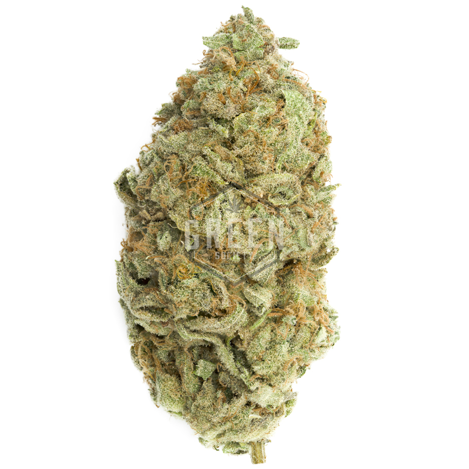 Zombie OG by Serious Seeds