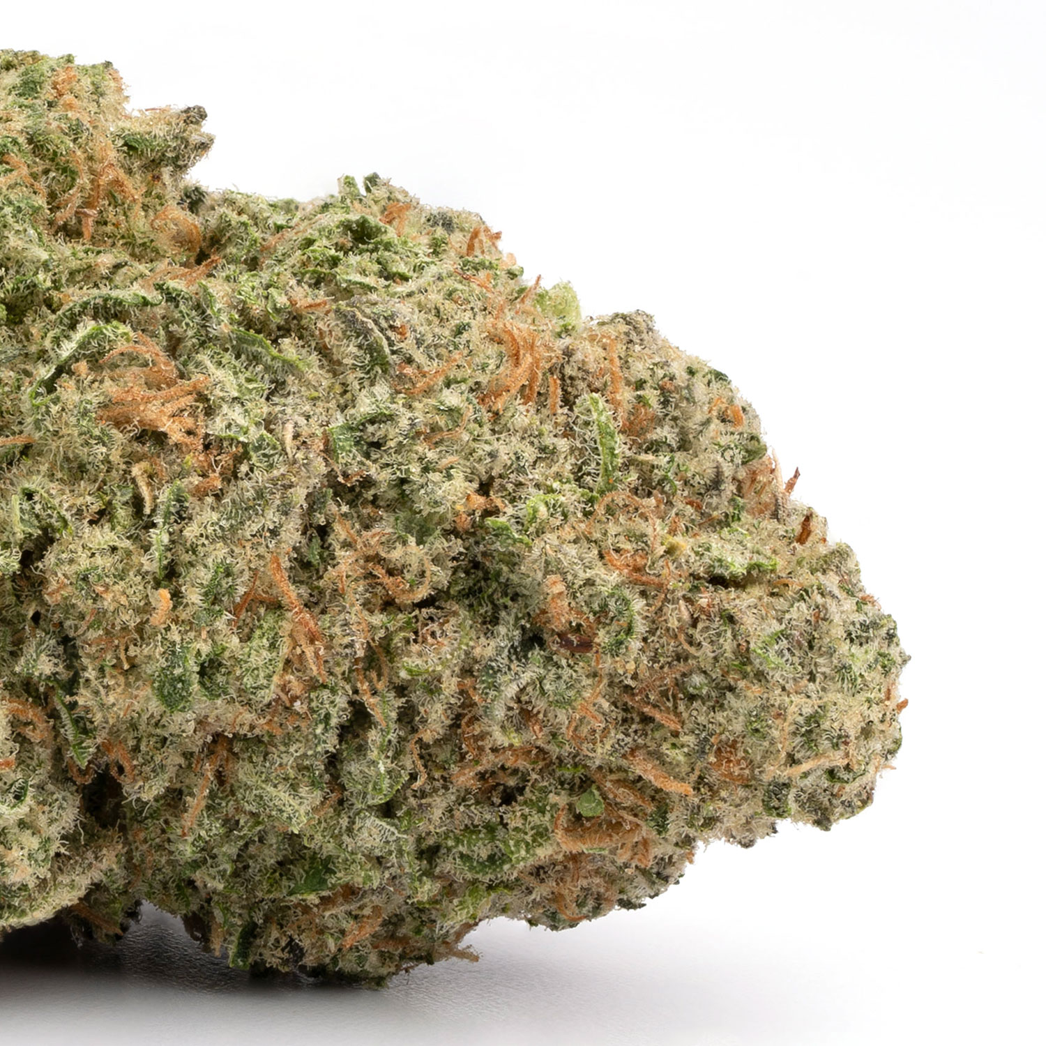 Zombie OG